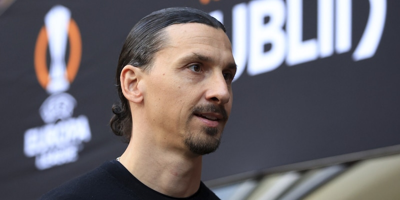 Bufera Ibrahimovic a Verona, gli animalisti si scagliano contro lo svedese: cosa è successo