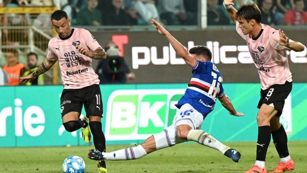 Come finisce Palermo-Sampdoria? Il pronostico